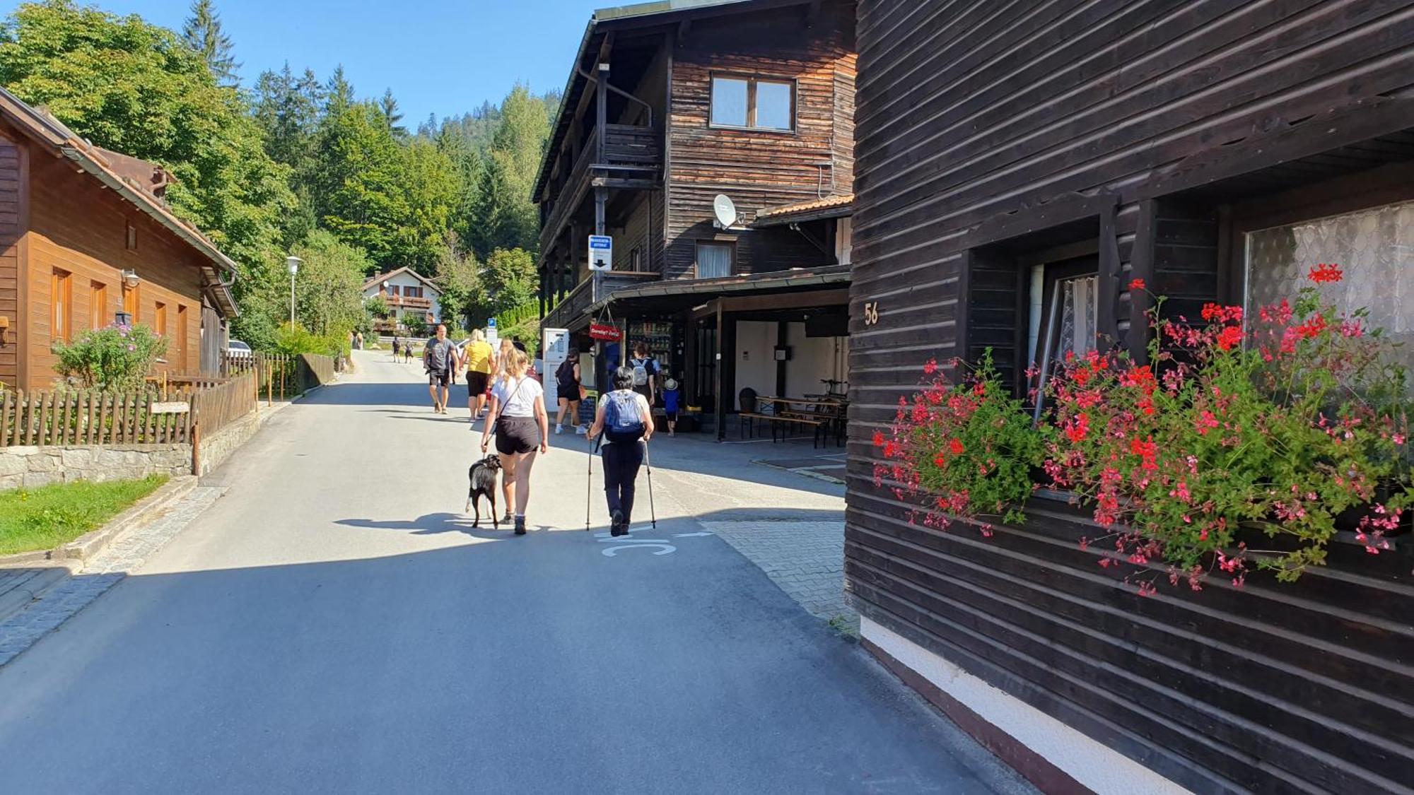 Hotel Waldhaus Боденмайс Экстерьер фото
